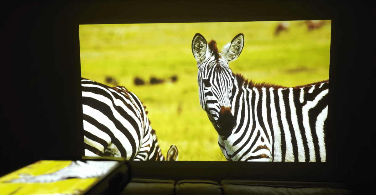 Is a Projector Phone Right for You? - 8849 Official Website